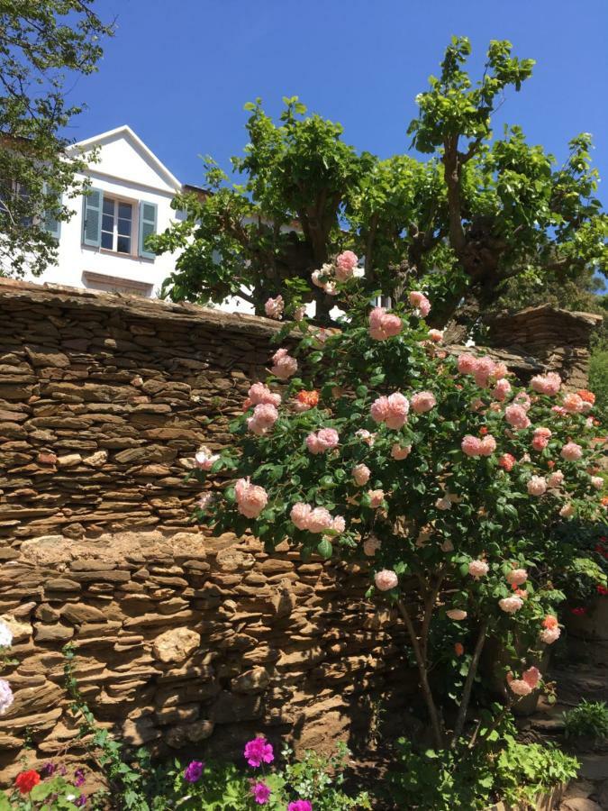 Hotel Le Manoir De Port-Cros Exterior foto