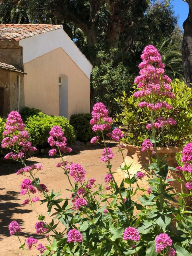 Hotel Le Manoir De Port-Cros Exterior foto